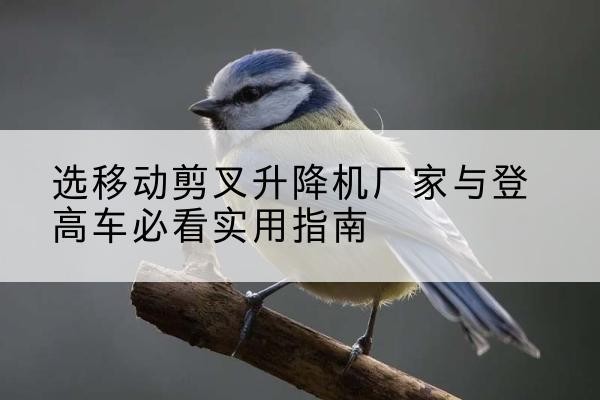 宝坻区电动升降机厂家-选移动剪叉升降机厂家与登高车必看实用指南