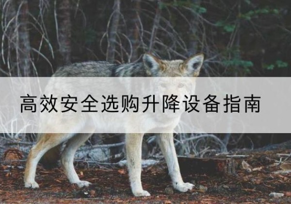 宝坻区升降货梯厂家推荐-*安全选购升降设备指南