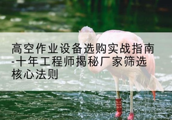 宝坻区剪叉式升降机厂家-高空作业设备选购实战指南-十年工程师揭秘厂家筛选核心法则